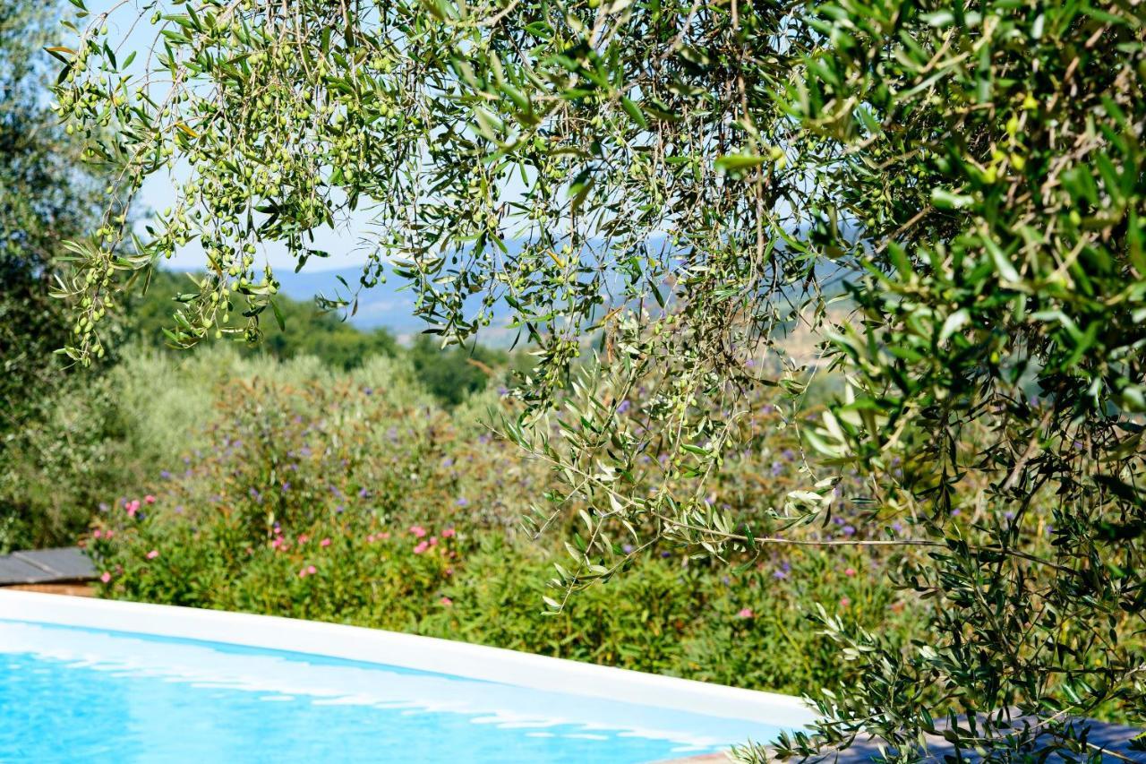 Agriturismo La Pieve Pelago Exteriér fotografie