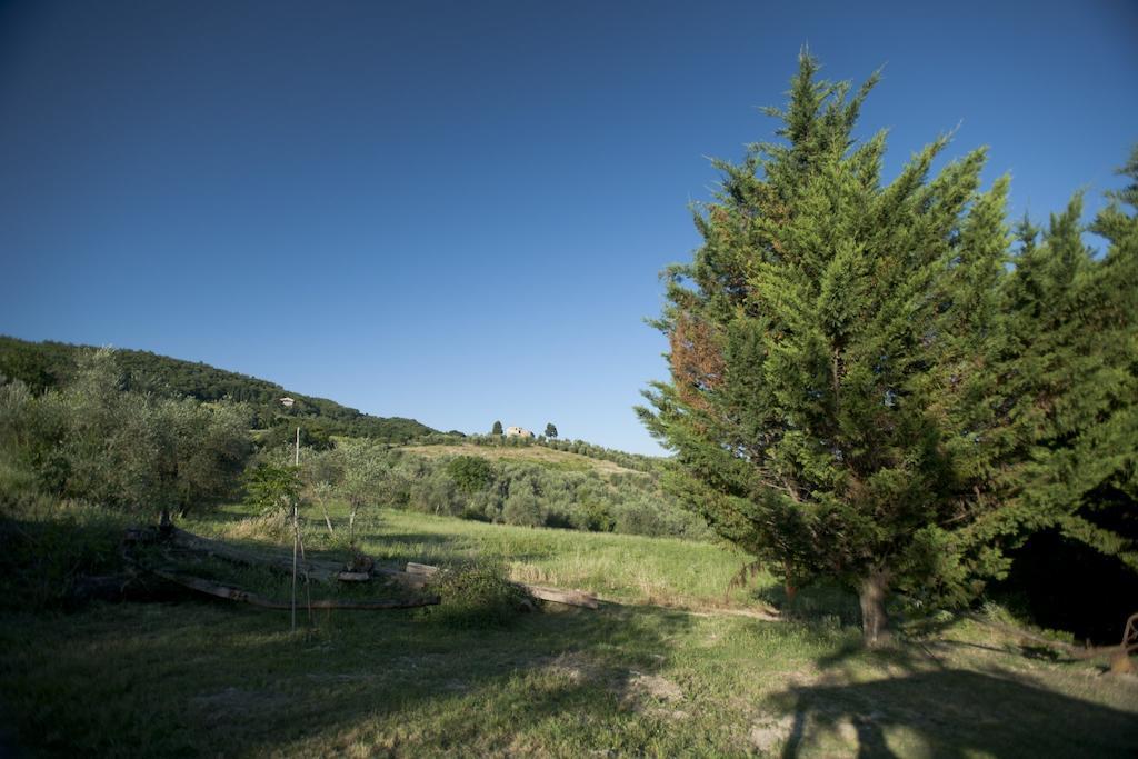 Agriturismo La Pieve Pelago Exteriér fotografie